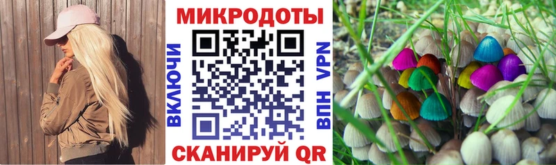 Купить закладки Нариманов Галлюциногенные грибы GOLDEN TEACHER